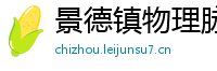 景德镇物理脉冲升级水压脉冲